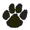 picture of a dog's paw print