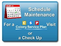 schedule maintenance button